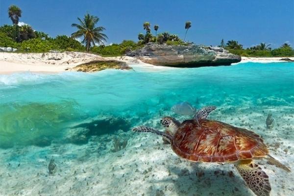 Kuwa Zanzibar Aparthotel Kiwengwa  Luaran gambar